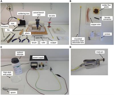 Protocol to assess rewarding brain stimulation as a learning and memory modulating treatment: Comparison between self-administration and experimenter-administration